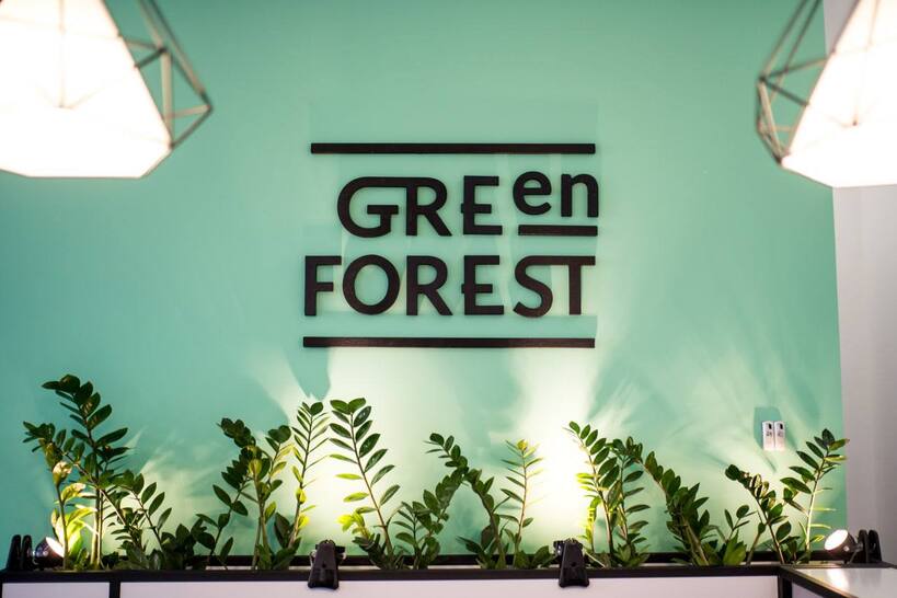 Школа англійської мови Green Forest (фото)